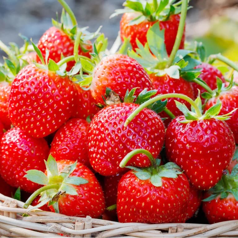 Frozen strawberries, sold by the carton